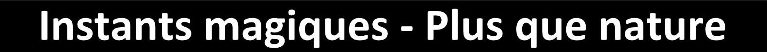 instants magiques